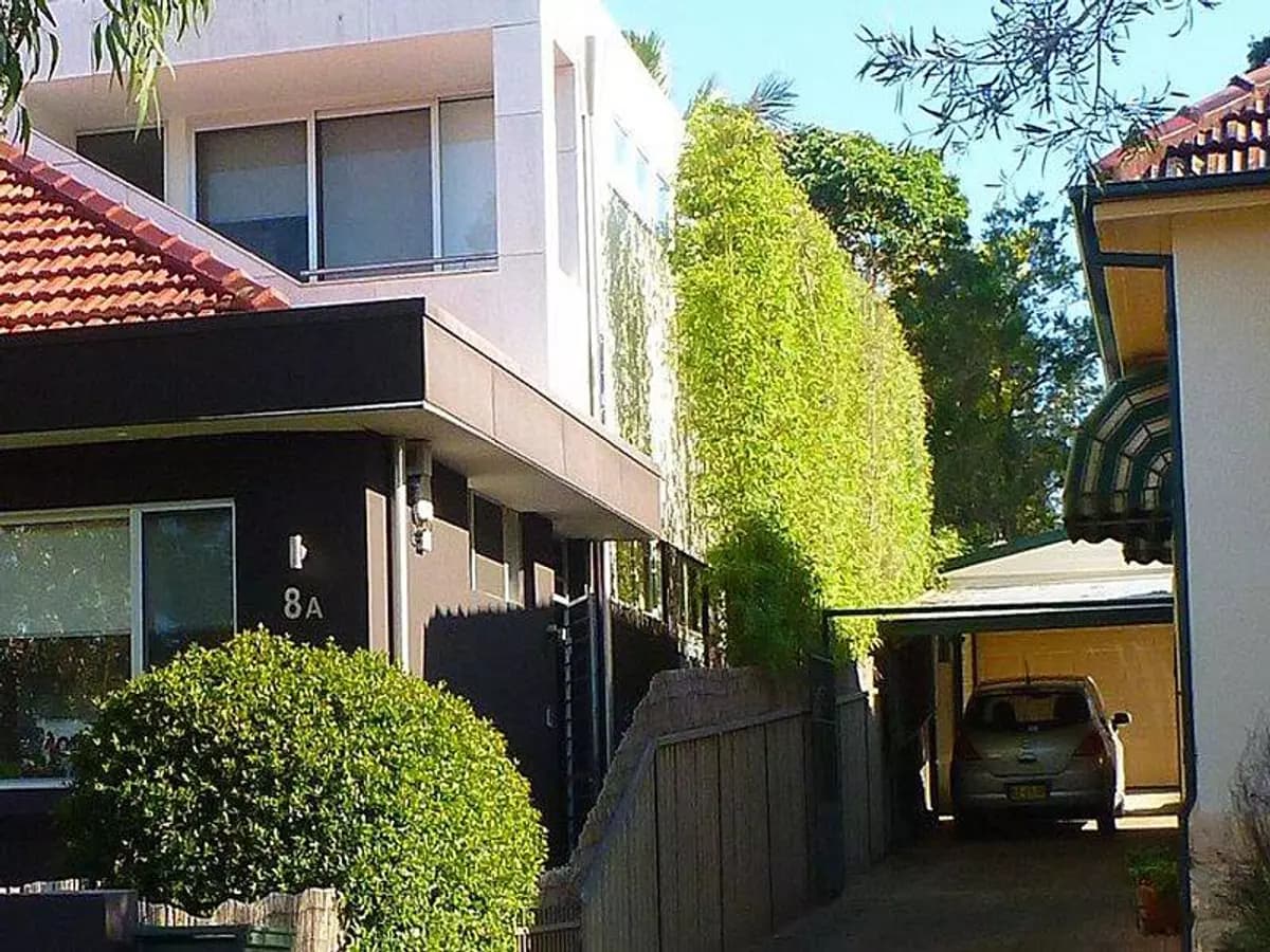 Mr trees hedge trimming after trimming in Sydney