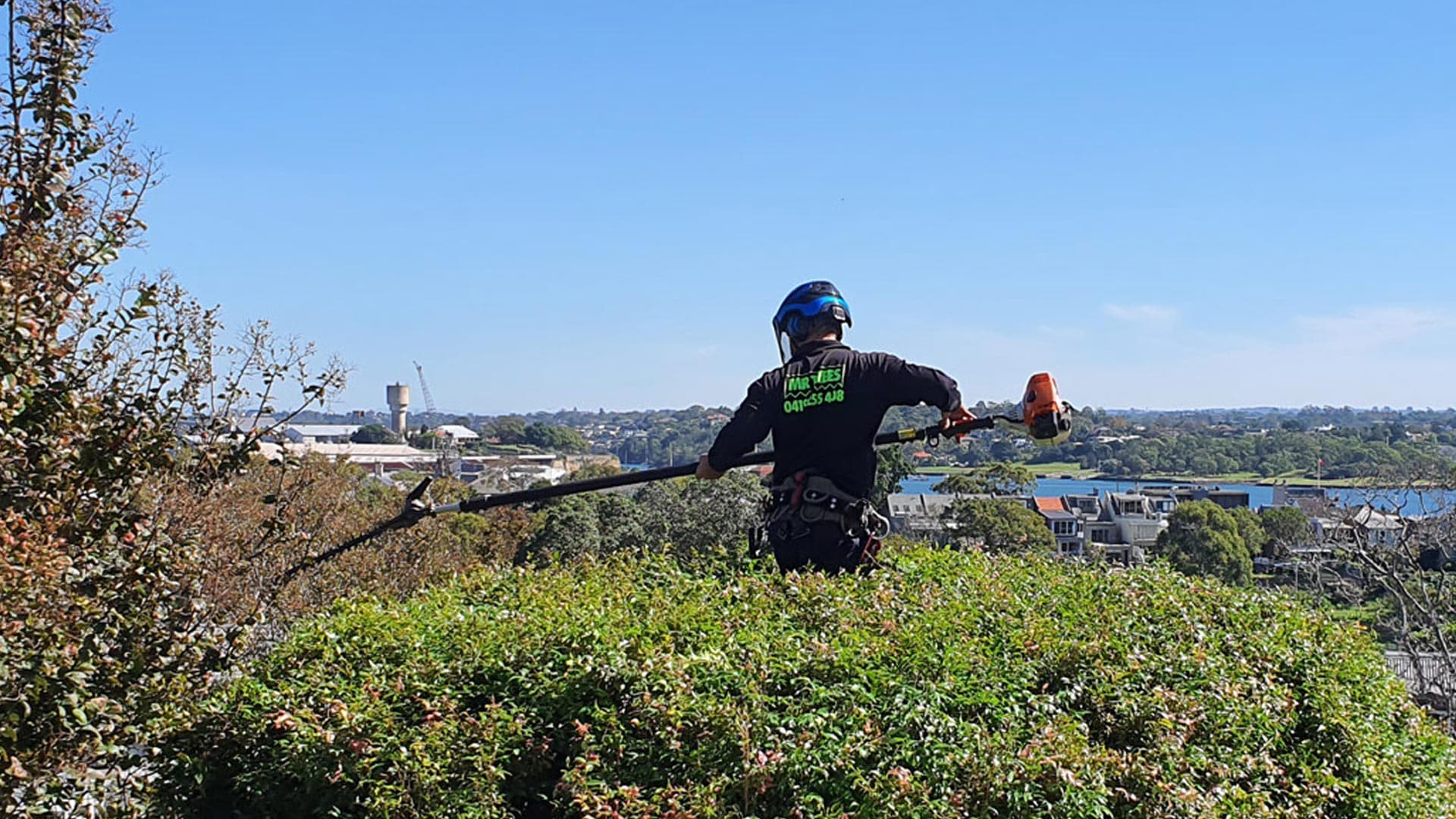 Mr trees hedge trimming in Sydney