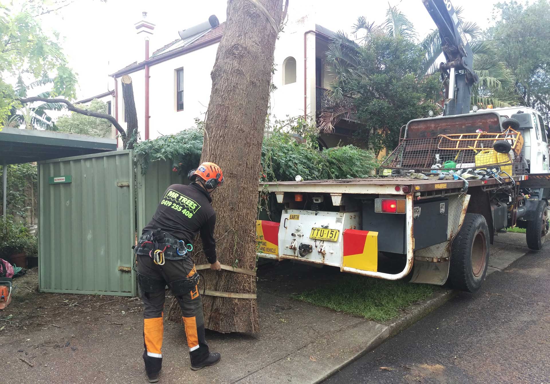 Mr trees tree removal Sydney