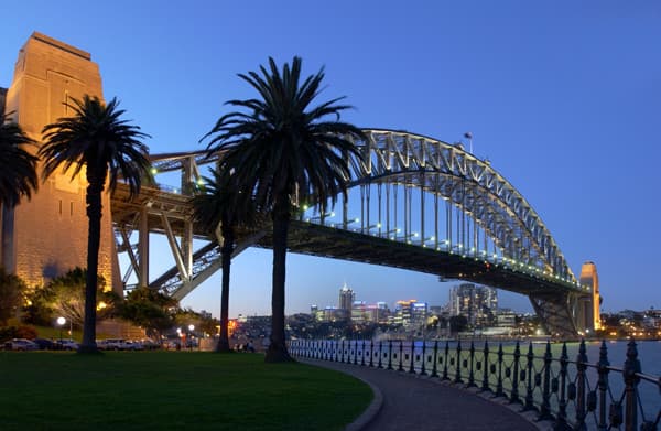 Sydney Harbor Bridge with a tree in the foreground