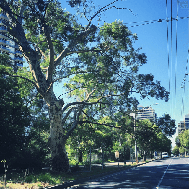 Tree root management
